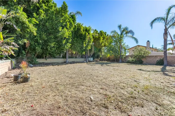 Large back yard