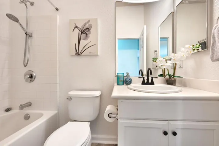 1001 Chamomile Lane, Brentwood, California 94513