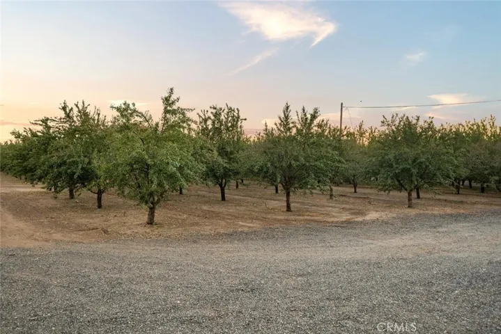 3233 Burdick Road, Durham, California 95938