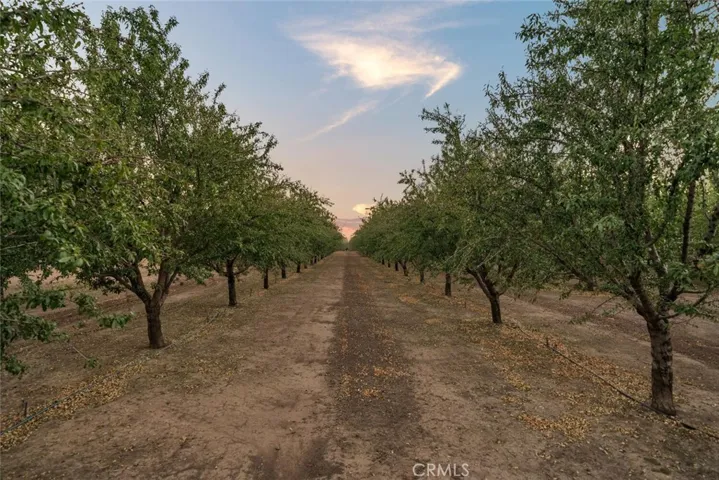 3233 Burdick Road, Durham, California 95938