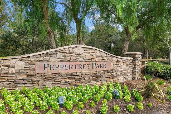 698 Braemar, Fallbrook, California 92028