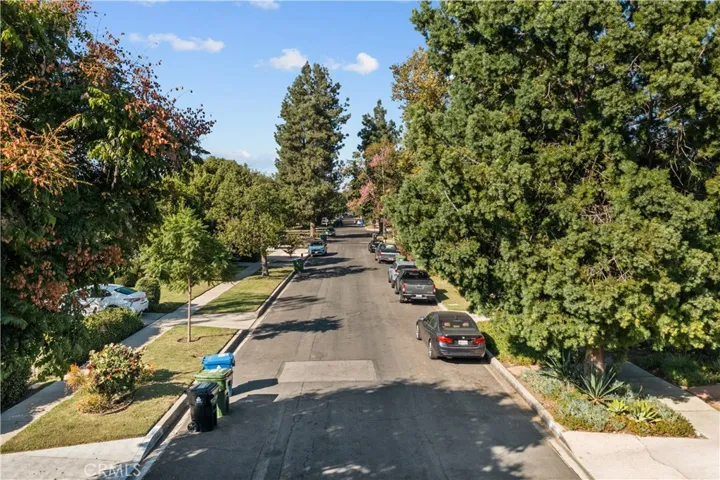 Beautiful tree-lined neighborhood