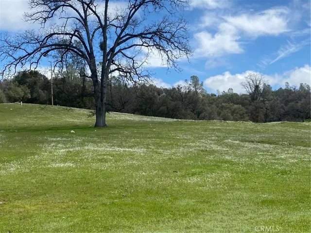 3980 Indian Peak Road, Mariposa, California 95338