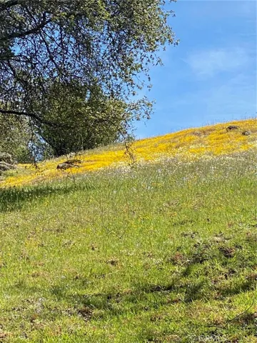 3980 Indian Peak Road, Mariposa, California 95338