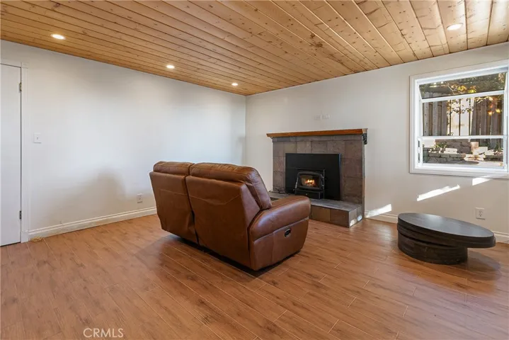 Lower level family room