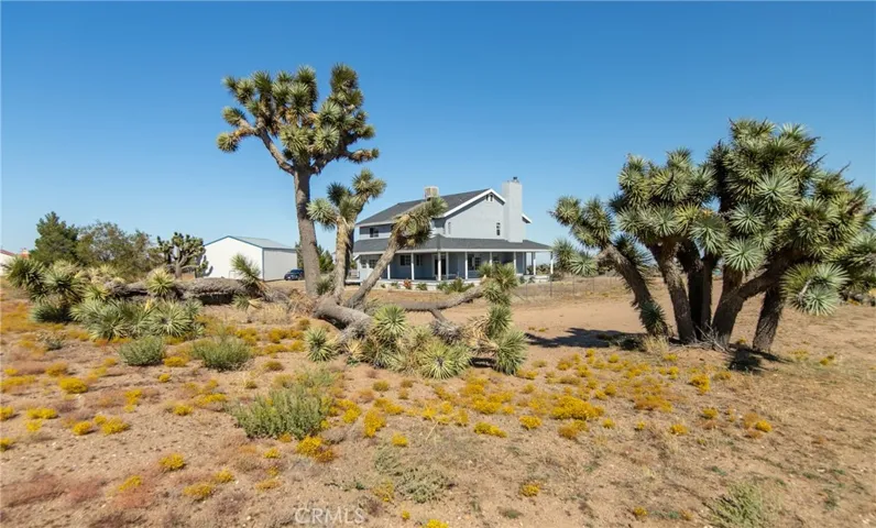 9203 Hollister Road, Phelan, California 92371