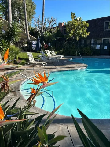 community Pool & jacuzzi