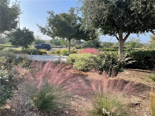116 Scale, Irvine, California 92618