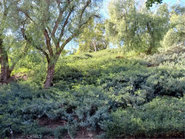 1973 Turquoise Circle, Chino Hills, California 91709