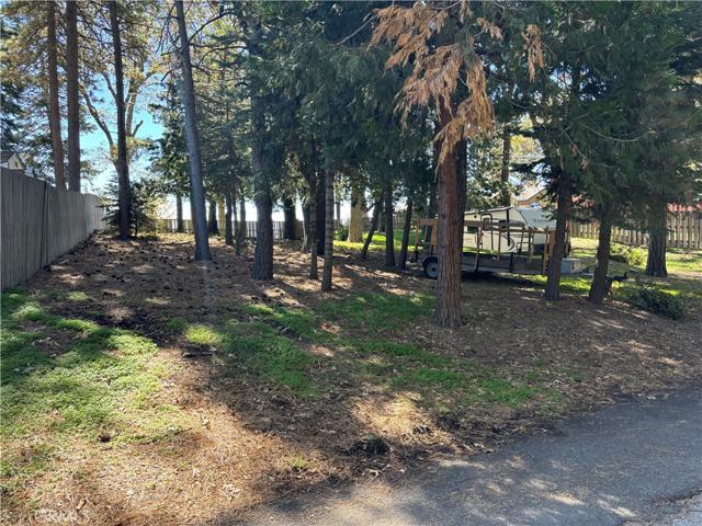 Beautiful treed lot with mostly level topography