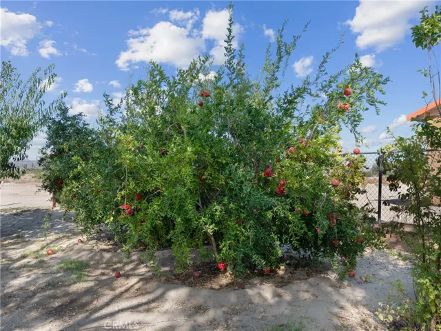 35154 Foothill Road, Lucerne Valley, California 92356