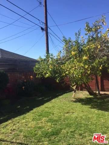 Rear Yard w/Fruit Trees