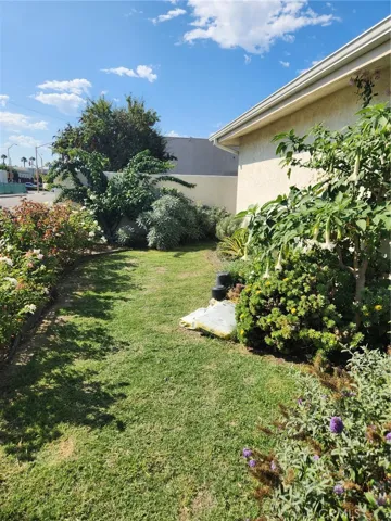 front yard