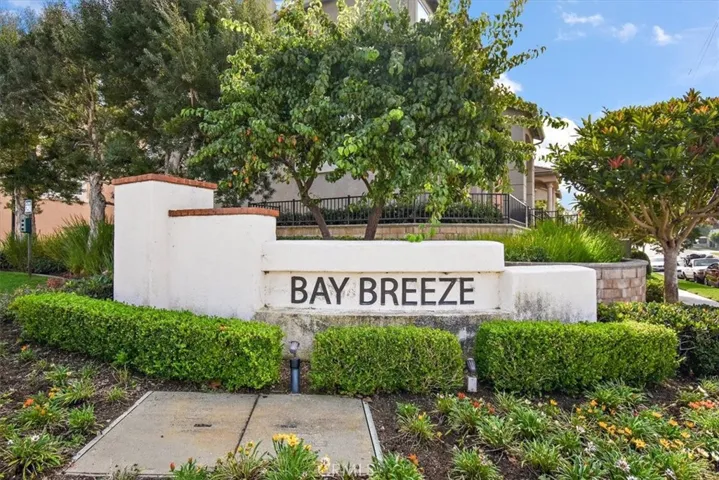 Bay Breeze
