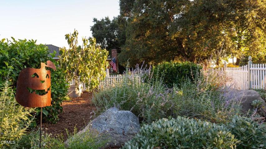 5-web-or-mls-2182 N Grand Oaks Ave - Pie