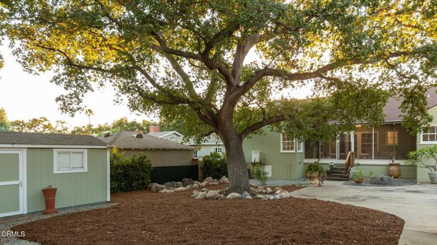 39-web-or-mls-2182 N Grand Oaks Ave - Pi