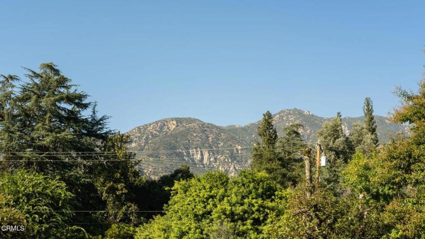 44-web-or-mls-2182 N Grand Oaks Ave - Pi