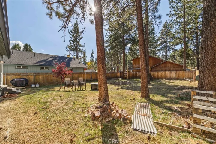 Large Backyard