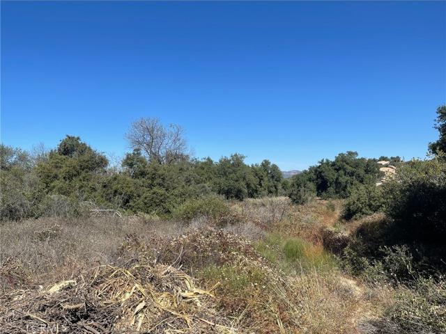 1 Calle Paramo, Murrieta, California 92562