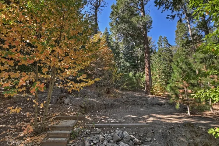 27080 State Hwy 189, Blue Jay, California 92317