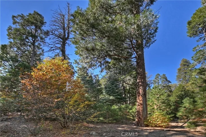 27080 State Hwy 189, Blue Jay, California 92317