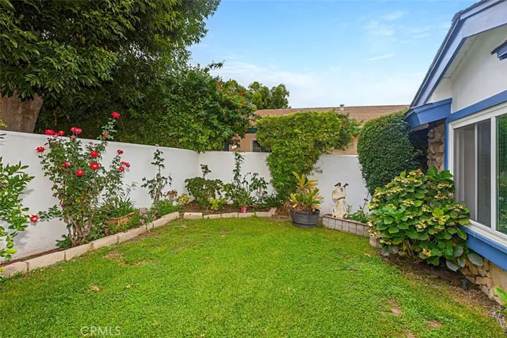 Front Yard/Court Yard