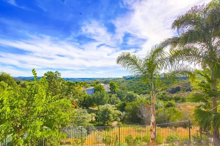 3817 Shale Ct., Carlsbad, California 92010