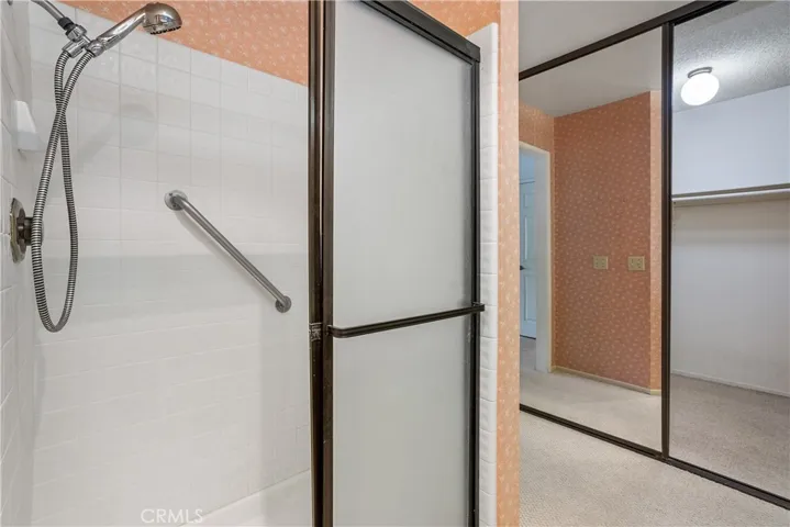 Primary Shower