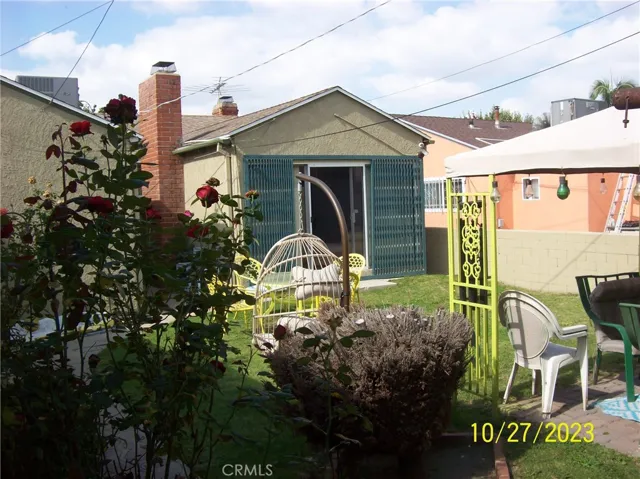 VIEW OF MATURE ROSES IN REAR YARD