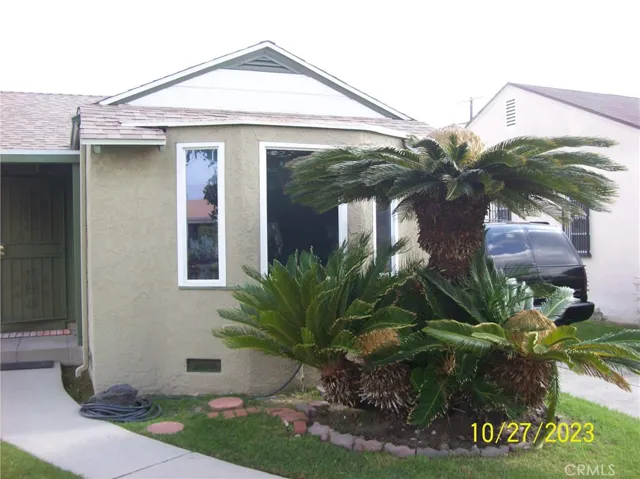 VIEW OF MATURE PALM PLANTS IN FRONT YARD