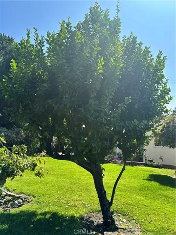 10601 Foothill Boulevard, Sylmar, California 91342