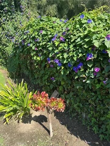 10601 Foothill Boulevard, Sylmar, California 91342
