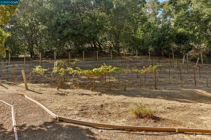 1020 Briones Rd, Martinez, California 94553