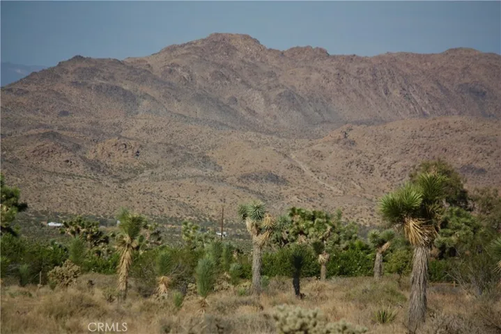 0 La Contenta Road, Joshua Tree, California 92252