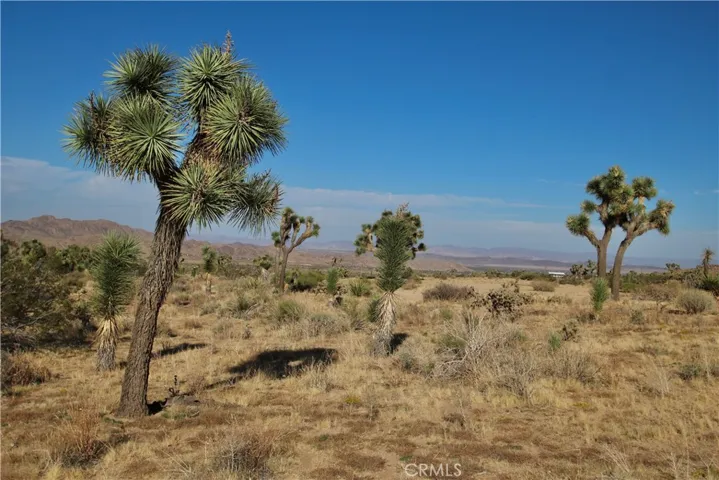 0 La Contenta Road, Joshua Tree, California 92252