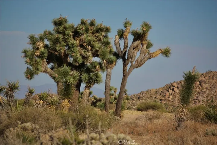 0 La Contenta Road, Joshua Tree, California 92252