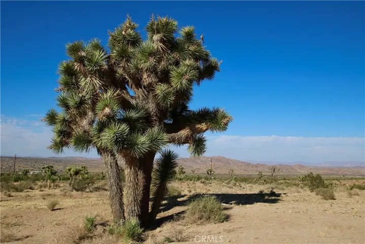 0 La Contenta Road, Joshua Tree, California 92252