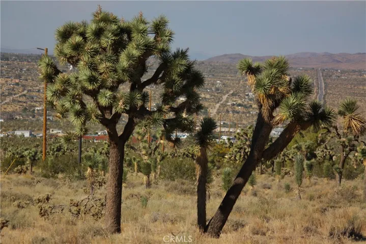0 La Contenta Road, Joshua Tree, California 92252
