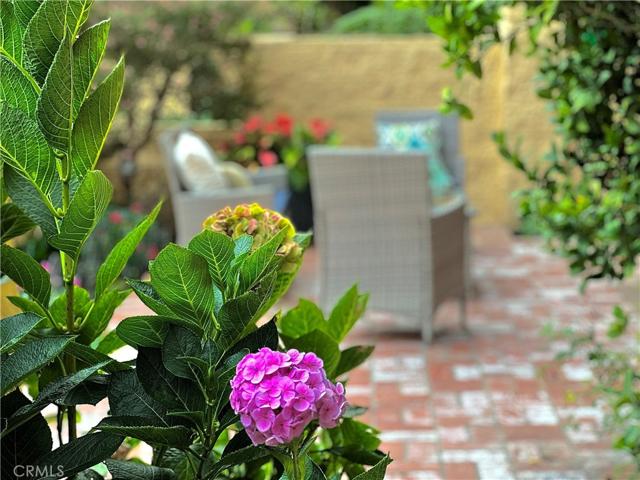 Beautiful Flowers on Patio