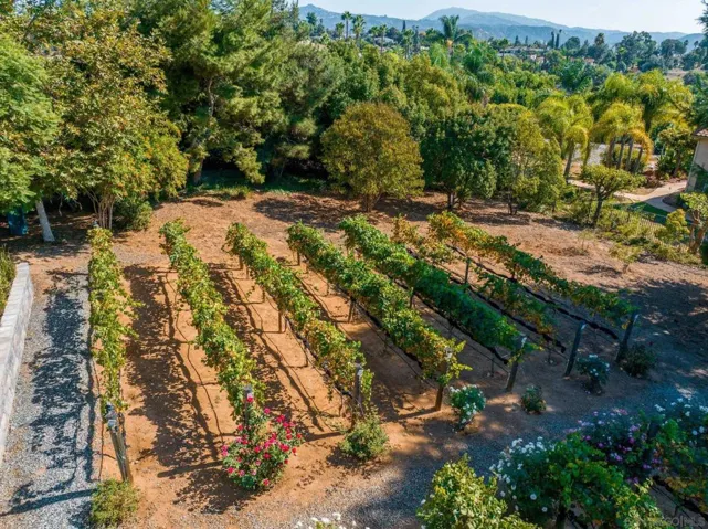 2551 Park Ridge Dr, Escondido, California 92025
