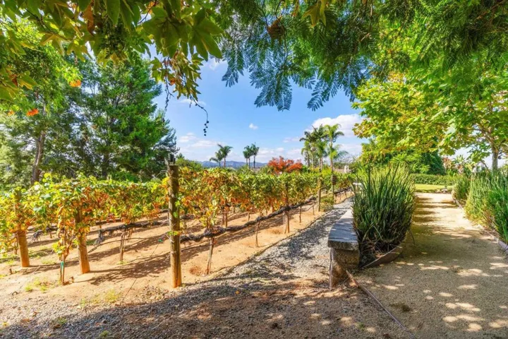 2551 Park Ridge Dr, Escondido, California 92025