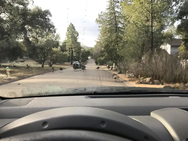492 Los Huecos, Mount Laguna, California 91948