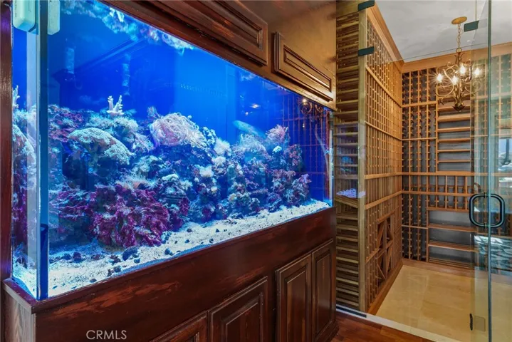 This saltwater fish tank brings a touch of the ocean to the home.
