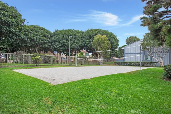 Volleyball court