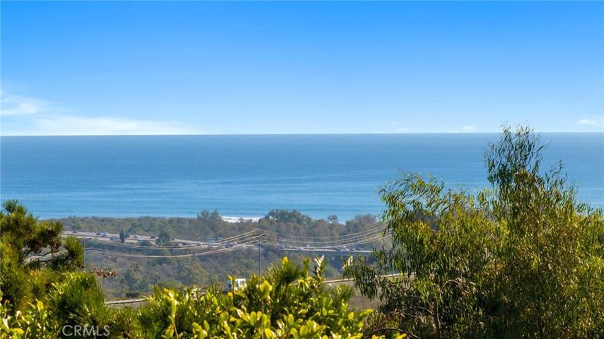 Lower Trestles / Middles view off backyard.