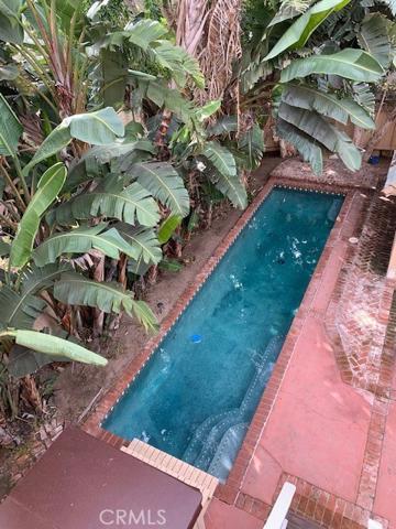 Pool and foliage