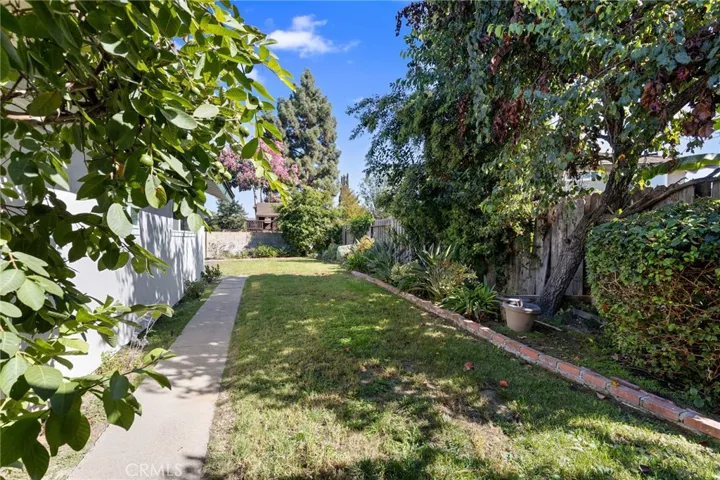 Back yard garden