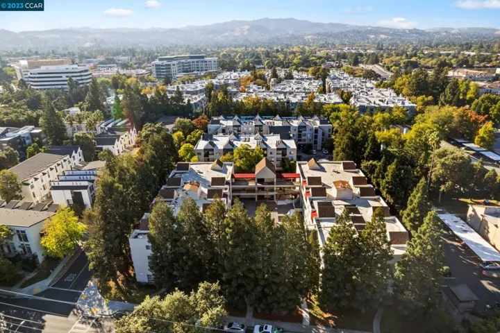 3173 Wayside Plaza Unit 312, Walnut Creek, California 94597