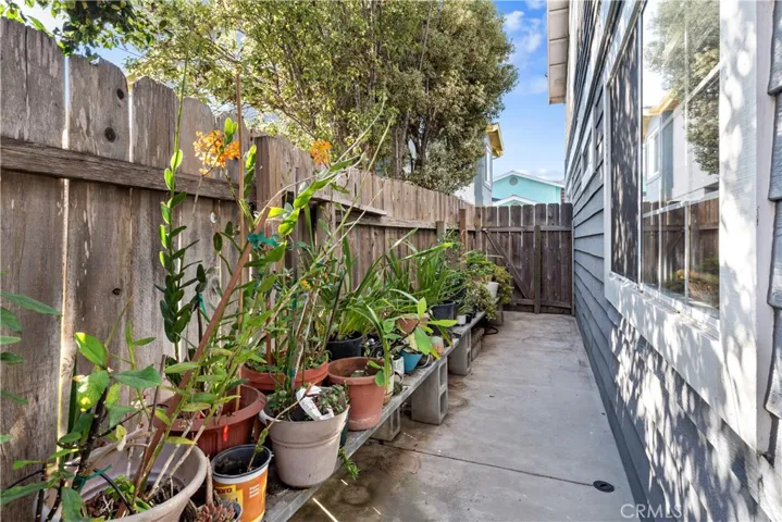 Side Yard