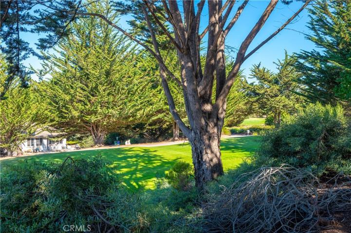 2338 Brant Street, Arroyo Grande, California 93420